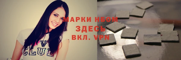 бошки Няндома