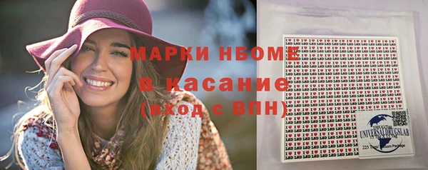 бошки Няндома