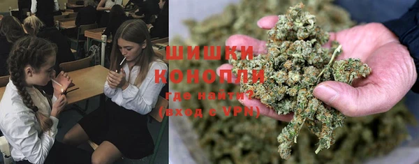прущие крисы Новокубанск
