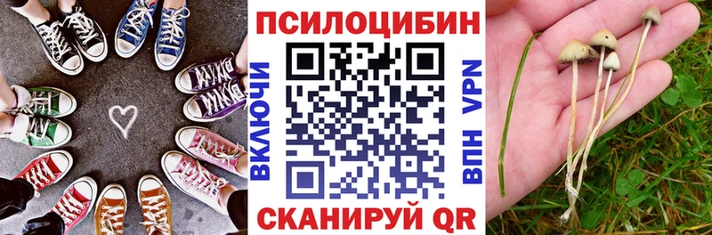 купить  цена  Ишим  omg сайт  Псилоцибиновые грибы мицелий 
