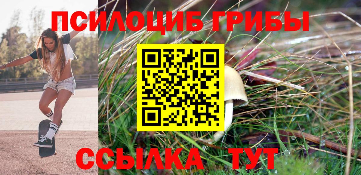 Псилоцибиновые грибы мухоморы  Галлюциногенные грибы Cubensis  Ишим  Вход с VPN 